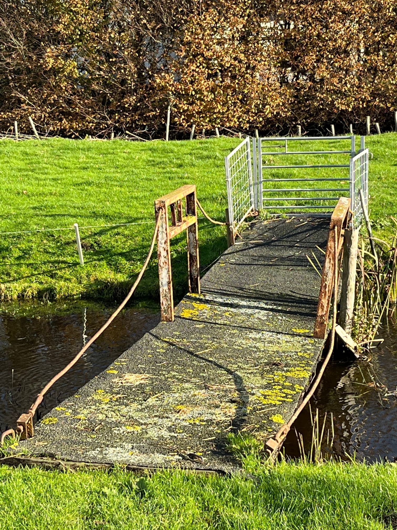 Pad door de natuur